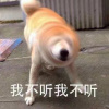 麻呢麻呢轟